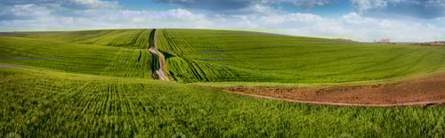 Preview: dirt road in a green field of hills, landscape waves with sky