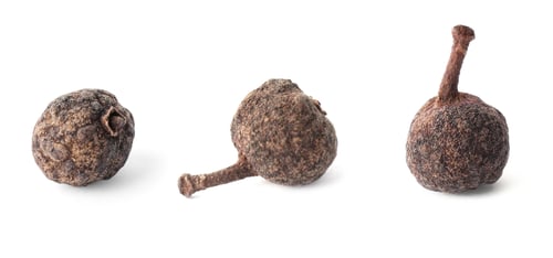 Preview: Three allspice peppercorns on white background, closeup