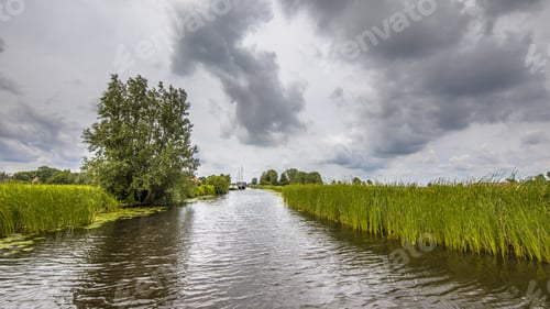 Preview: View in canal banks with reeds