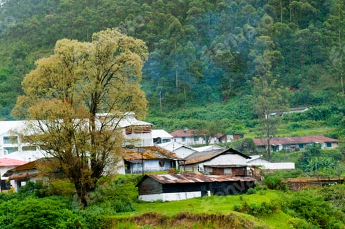 Preview: Village in tea plantation at Munnar, Kerala, India.