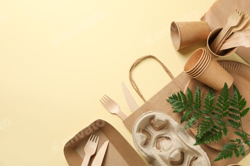 Preview: Composition with eco - friendly tableware and plant on beige background, space for text