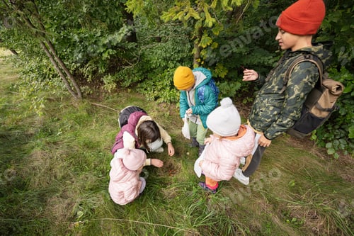Preview: Mother and children searching mushrooms in the wild forest.
