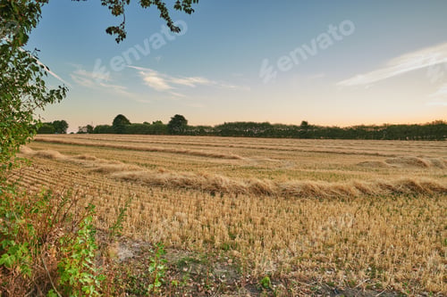 Preview: Autumn fields