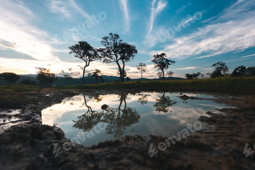 Preview: Earth Day eco concept with tropical forest background, natural forestation preservation scene