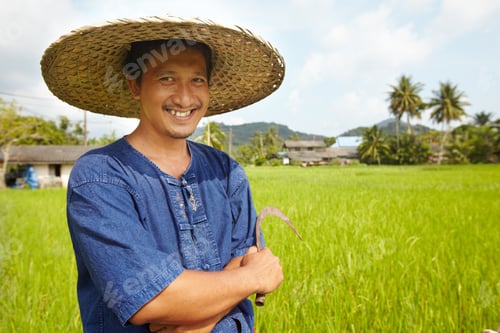 Preview: Almost harvest time. Portrait of a rice farmer holding a traditional harvesting tool - Thailand.