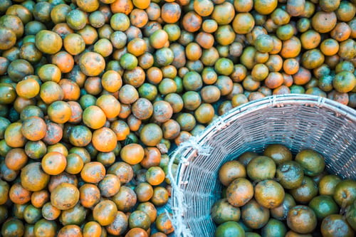 Preview: Orange farm, Berastagi (Brastagi), North Sumatra, Indonesia, Asia