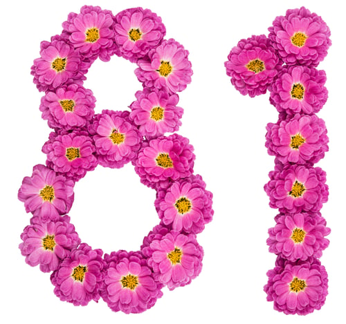 Preview: Arabic numeral 81, eighty one, from flowers of chrysanthemum, isolated on white background