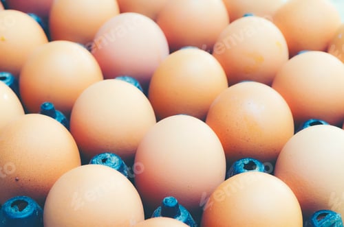 Preview: Cute creative photo with easter eggs, Ester background with colorful easter eggs
