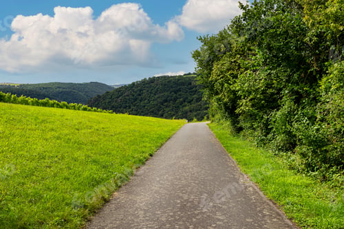 Preview: An asphalt road between a field of grass and trees, in the background hills overgrown with forest.