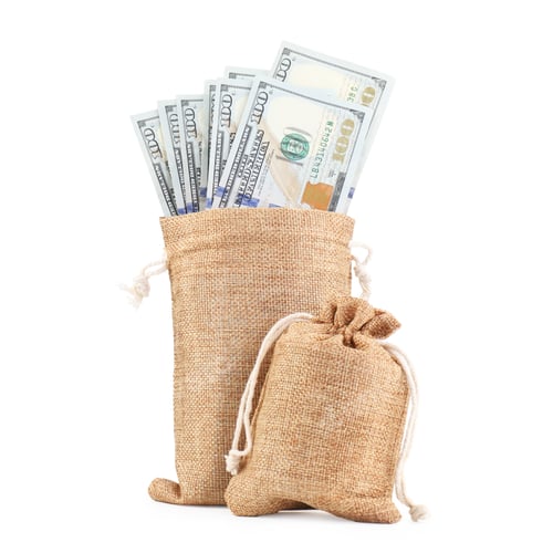 Preview: Money bags with dollar banknotes isolated on white