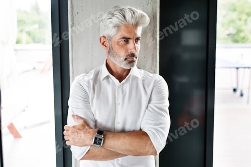 Preview: Mature businessman with gray hair in the office.