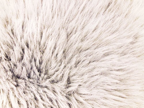 Preview: Abstract Soft Fluffy White Background Texture