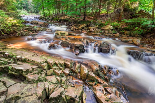 Preview: Mountain river full of clean water
