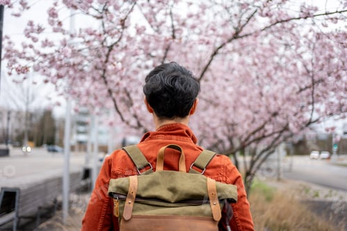Preview: Rear view of backpacker traveler traveling and looking around in city.