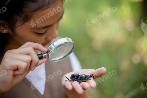 Preview: A little Asian girl using a magnifier to study a stag beetle in a park.
