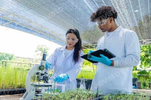 Vista previa: Scientists examined the quality of vegetable organic from hydroponic farm.