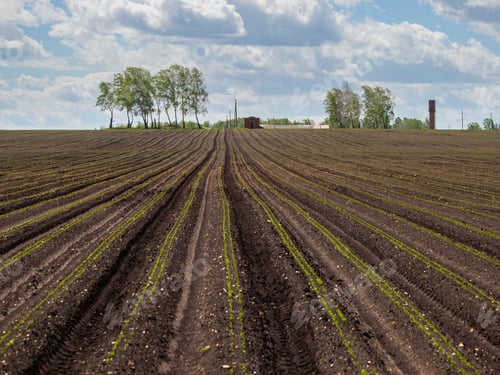 Preview: Landscape. Sown field. There are trees and a water tower in the distance. Clouds in the sky