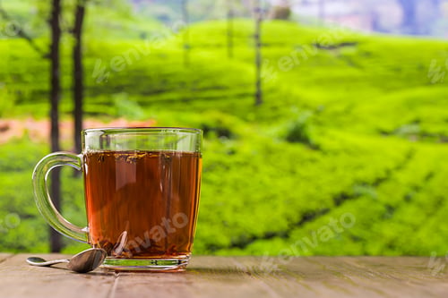 Preview: Tea in a glass cup