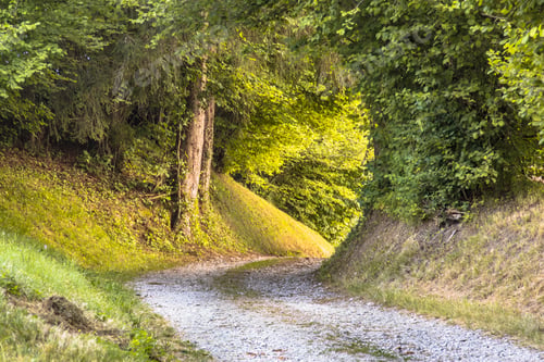 Preview: Tunnel of Foliage in unpaved rural road