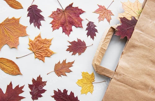 Preview: Paper bag and dried leaves