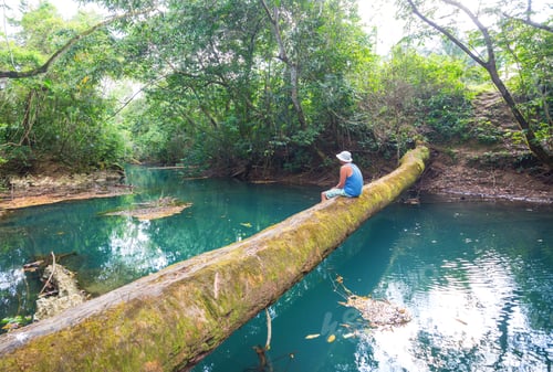 Preview: River in jungle