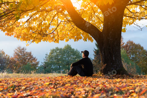 Preview: Solitary man rests near orange cherry tree in glowing fall meadow at twilight