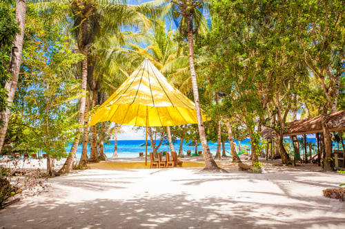 Preview: Perfect tropical beach in exotic resort