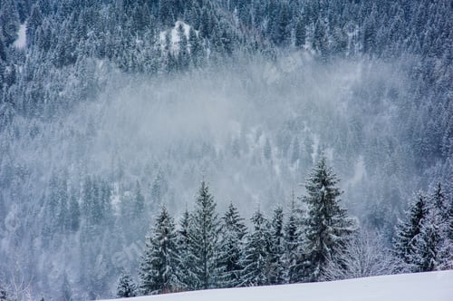 Preview: Carpathian winter mountains