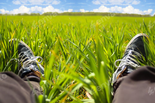 Preview: Feet grass. Feet in sneakers in green grass. Relaxing time. Restful moment. Healthy lifestyle. Fresh