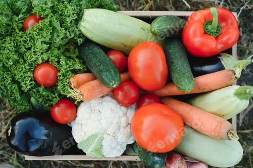 Preview: Freshly harvested vegetables in wooden box on grass. Local farm organic vegetable