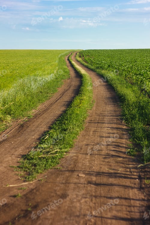 Preview: rural dirt road through farmland in sunny bright weather.