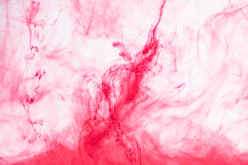 Preview: viva magenta colored smoke on a white background