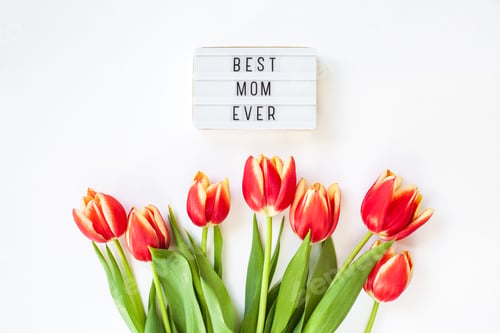 Preview: Best Mom Ever Tulips on White Background