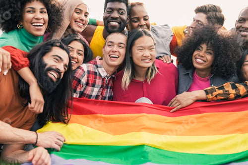 Preview: Young diverse friends having fun holding LGBT rainbow flag