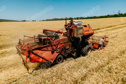 Preview: farmer rides an old combine to work. Combine harvester goes on way to harvest wheat.