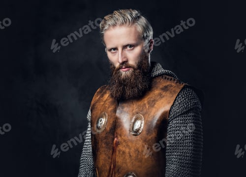 Preview: A man Viking dressed in Nordic armor.