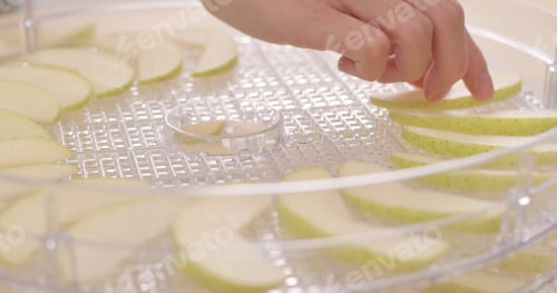 Preview: Apple pieces on drying plastic dry for making dry apple