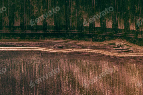 Preview: Countryside dirt road winding through cultivated fields, aerial shot top down
