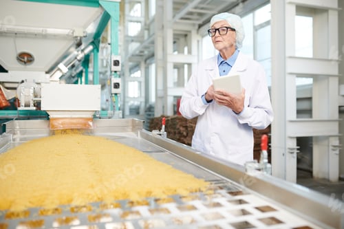Preview: Senior Woman Inspecting Production