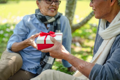 Vista previa: Senior, couples, retirement, insurance, elderly, lifestyle concept.Senior couples