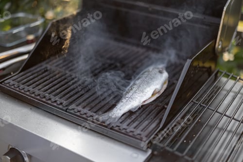 Preview: Fish on the grill