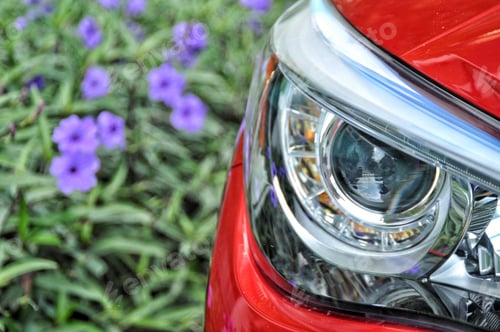 Preview: Headlight and Flowers