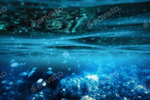 Preview: Ripple underwater in tropical sea with fish on coral reef