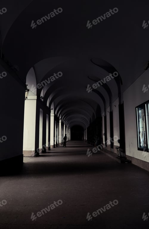 Preview: •shadows and lights•