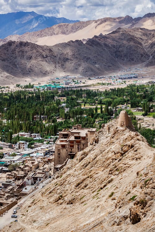 Preview: View of Leh town from above