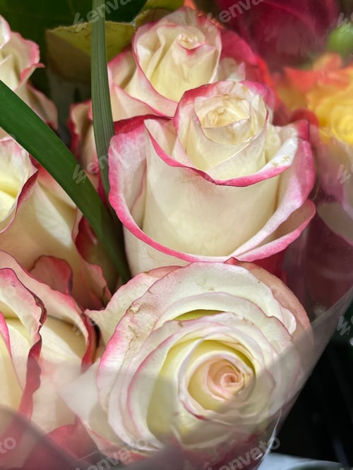 Preview: Flower