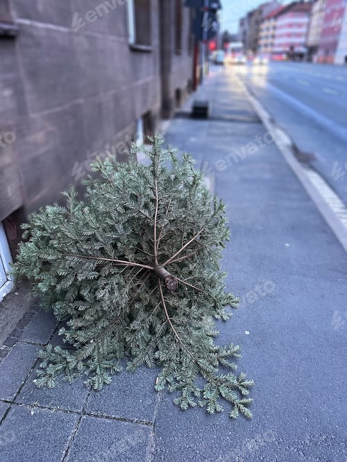 Preview: Green Christmas Tree Thrown Away Lying On City Street