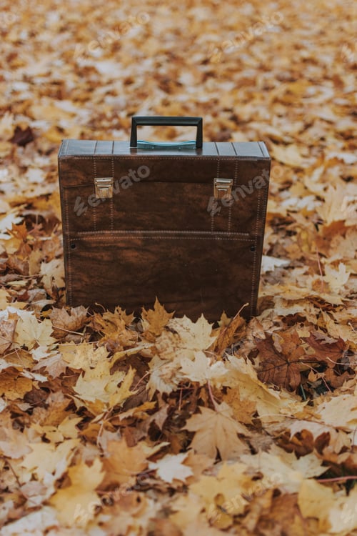 Preview: Vertical shot of a brown bag isolated on autumn maple leaves in the park