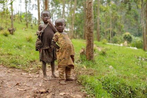 Preview: Two African children standing in the forest
