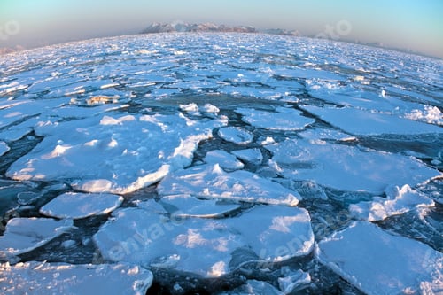 Preview: The top of the World - The Arctic